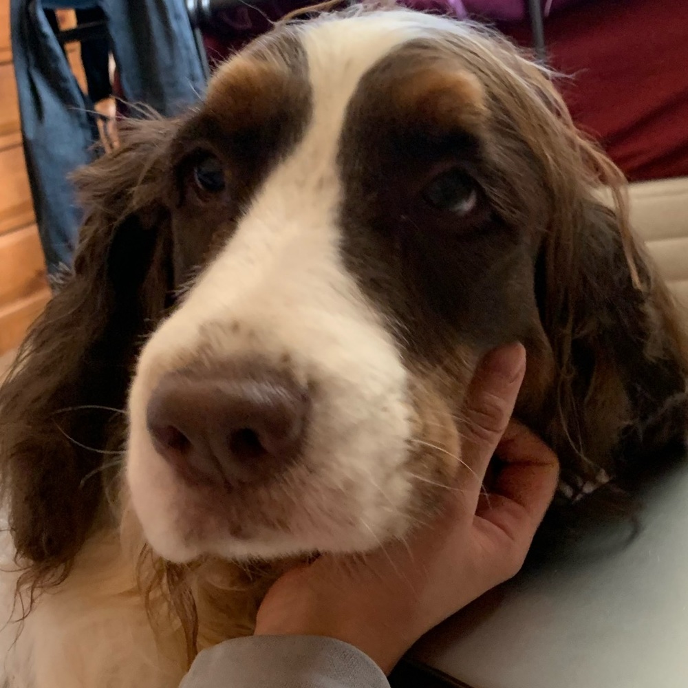 Meet your Posher, Nicky